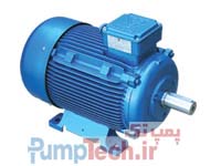 Motogen الکترو موتور سه فاز با بدنه چدنی - با توان بیشتر از 18.5 تا 90 کیلووات