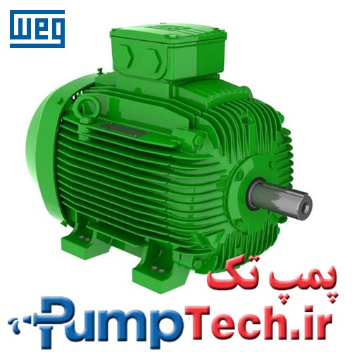 W21 - Cast Iron Frame - Premium Efficiency - IE3